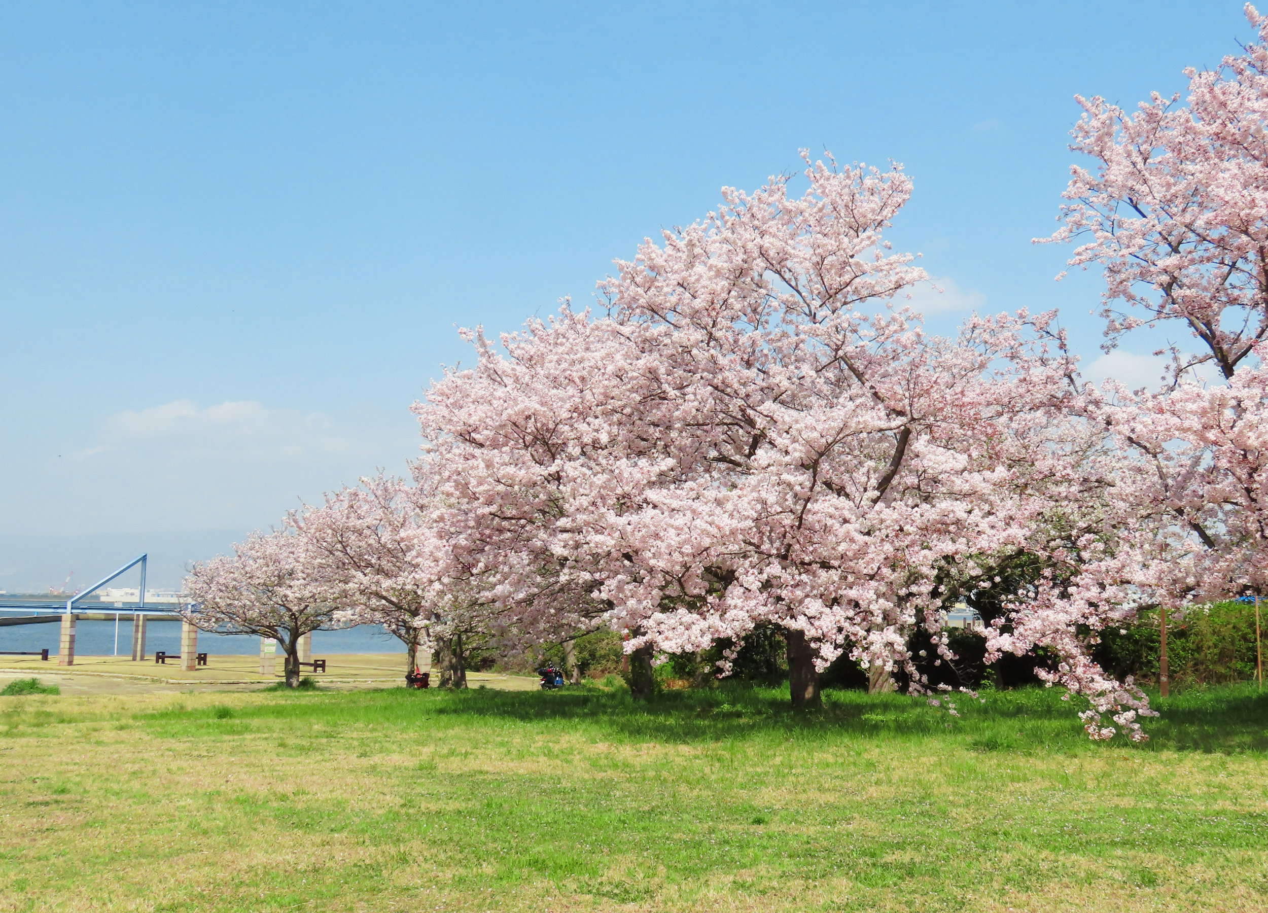 未来をつくることを楽しむエディテイメント型公園PARK HULL